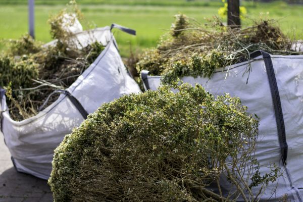 Shrubs Removal in Ventura