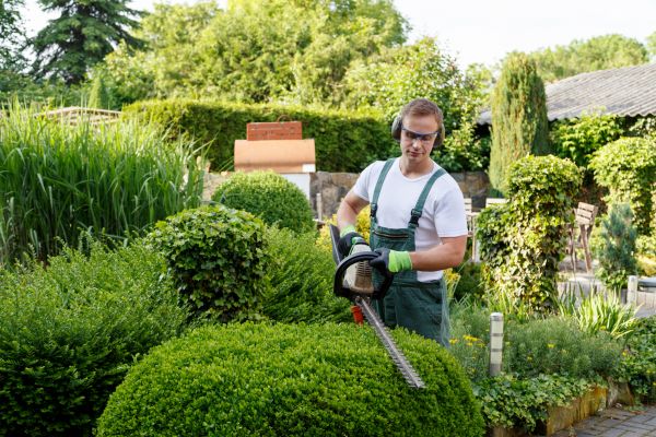 Shrubs Trimming in Ventura