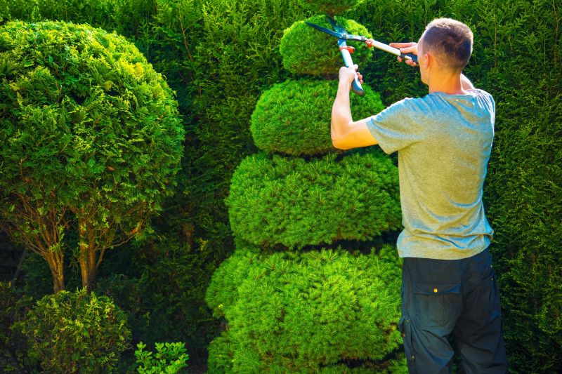 Shrubs with Precise Shaping