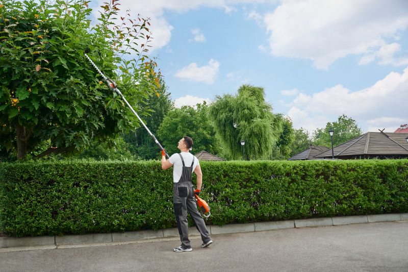 Landscaping Crew Trimming Shrubs